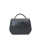 Mini Anabella tote in glossy black water snake leather with gold-tone hardware and a structured, compact silhouette.