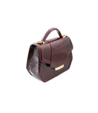 Glossy Bordeaux water snake mini Anabella tote with a structured silhouette, top handle, and elegant gold-tone hardware.