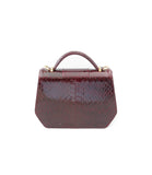 Glossy Bordeaux water snake mini Anabella tote with a structured silhouette, top handle, and elegant gold-tone hardware.