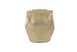 Gold Valerie mini bucket bag in metallic water snake leather with a sleek gold-tone designer logo clasp.
