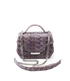 Lavender watersnake mini Anabella tote with silver chain strap and designer logo plaque in a compact, structured design.