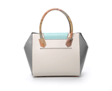 Mint and grey textured leather Ashley tote with a rainbow python handle and elegant gold-tone designer logo plaque.