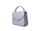 Mini Steffany tote in matte silver ostrich leather with silver-tone hardware, designer plaque, and top handle.