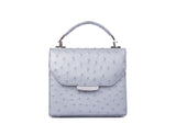 Mini Steffany tote in matte silver ostrich leather with a designer logo plaque and elegant top handle.