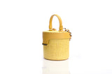 Structured Leather Yellow Raffia Elena Vanity Bag