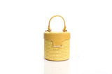 Structured Leather Yellow Raffia Elena Vanity Bag