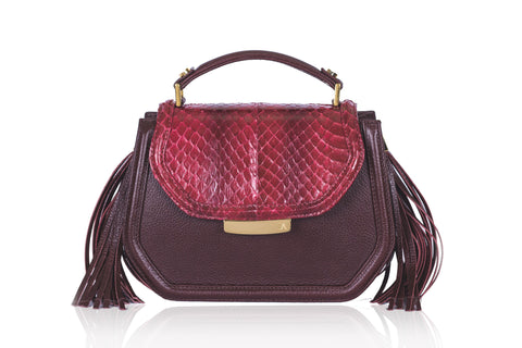 Bordeaux mini Anabella bag in calf leather and water snake skin with gold hardware, side tassels, and a top handle.